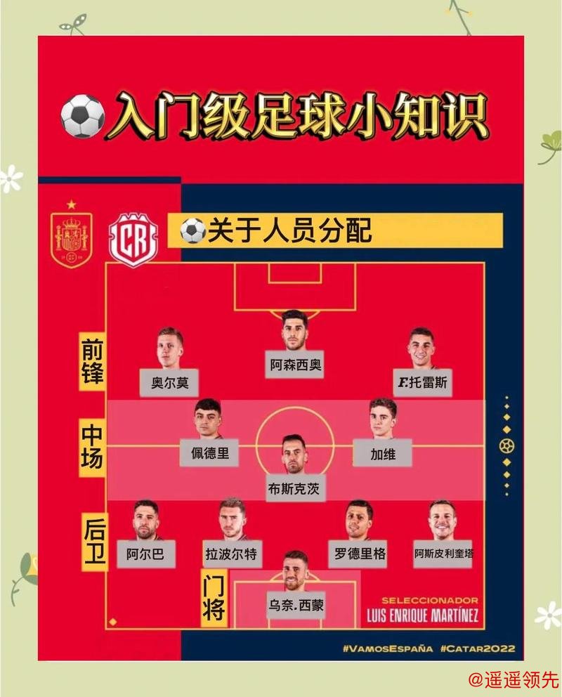 世界杯买球入口地址指南解析